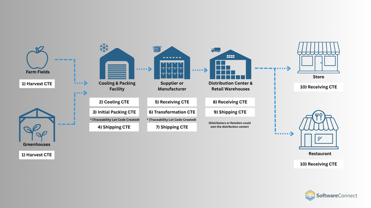 FSMA 204 Supply Chain Graphic
