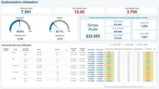 AxisCare: Authorization Utilization